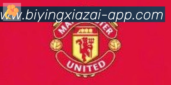必赢APP下载官方平台合作伙伴